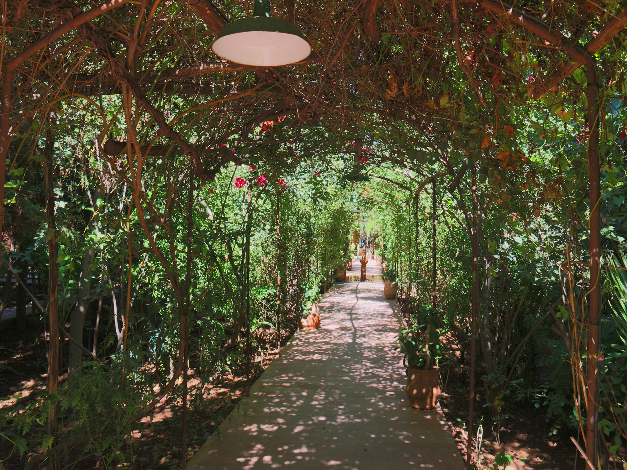 Le Jardin Touagana - Campement & Lodge Touggana Zewnętrze zdjęcie