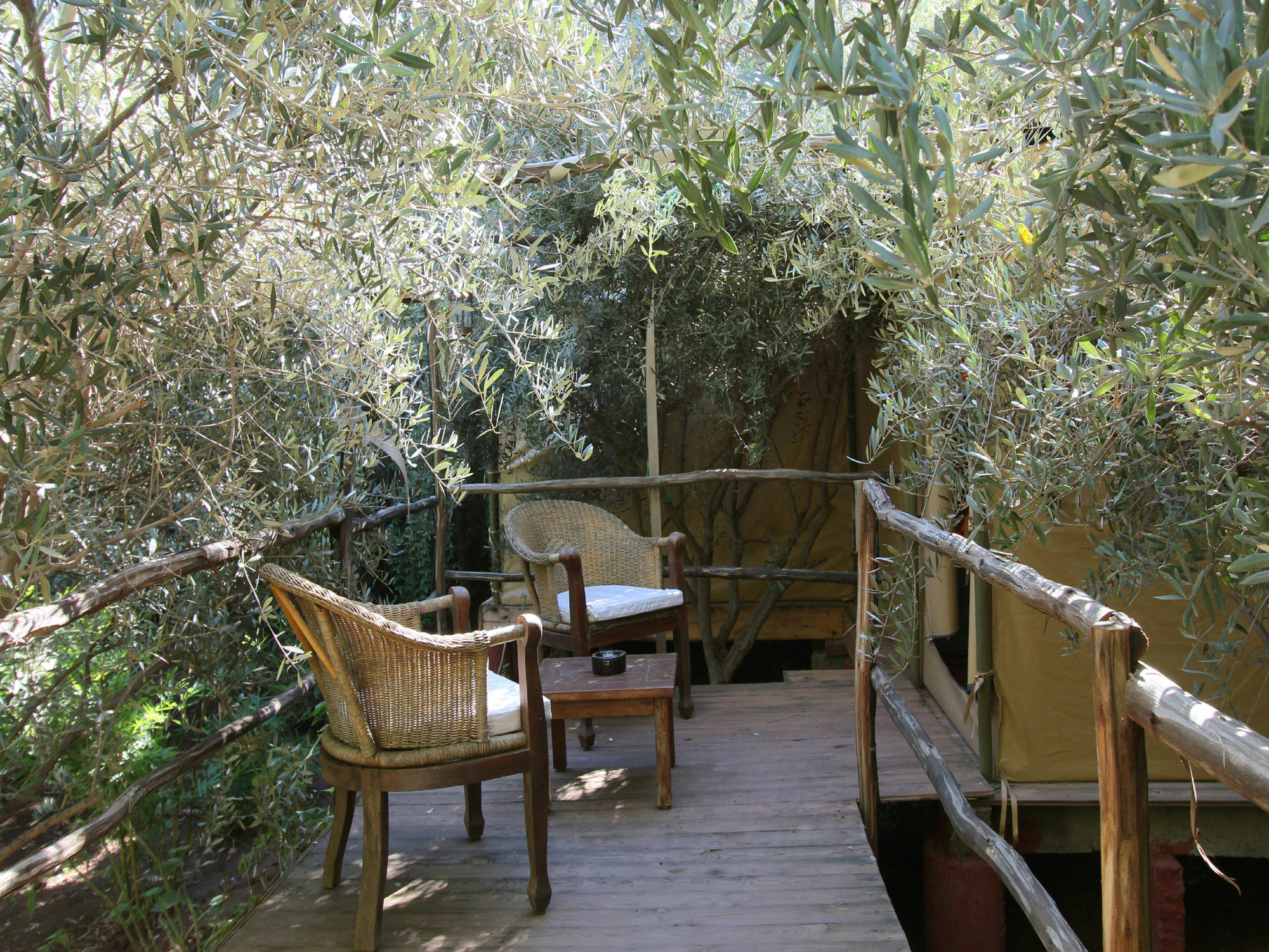 Le Jardin Touagana - Campement & Lodge Touggana Zewnętrze zdjęcie